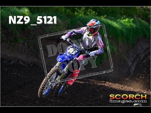 Experts-032