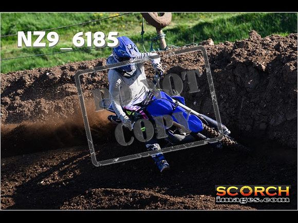 Experts-098