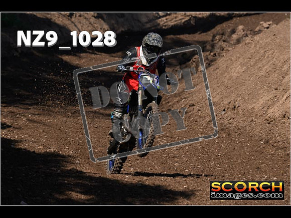 Experts-106