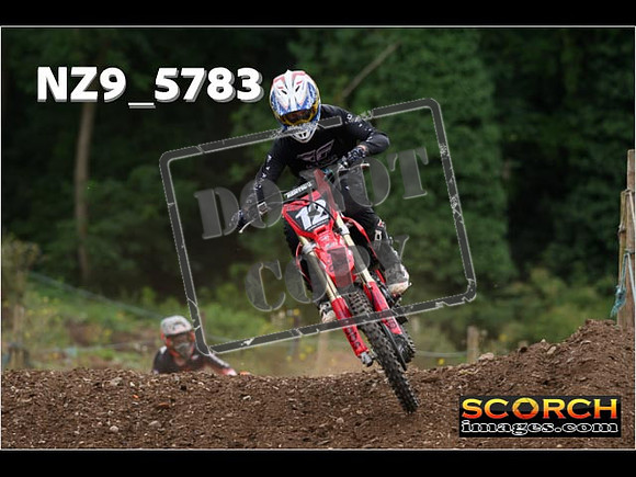 Experts-252