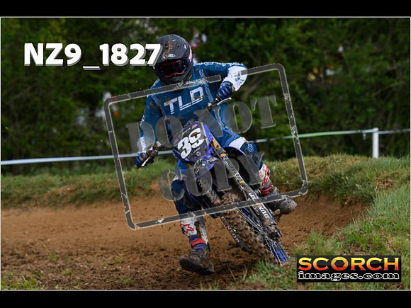 Novice-137
