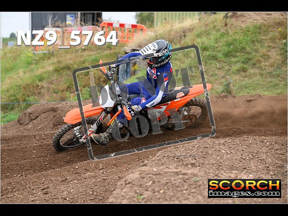 Experts-234