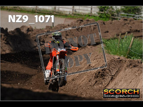 Experts-149