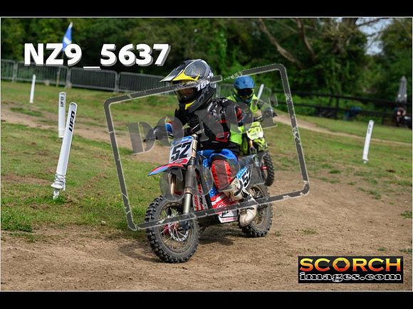 PeeWee Track-018