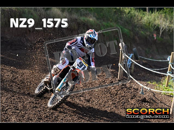 Experts-258