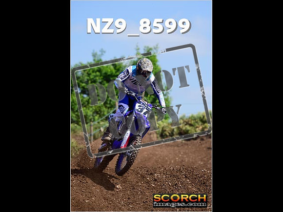 IntersGreenOrange-265