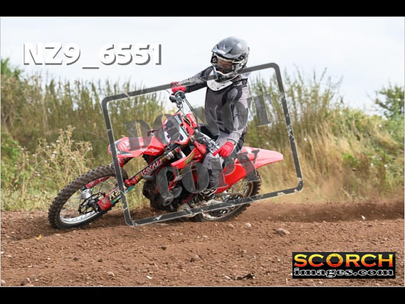 Experts-260