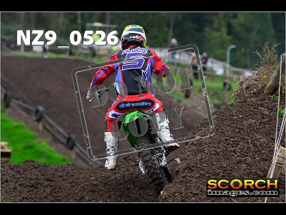 Experts-081
