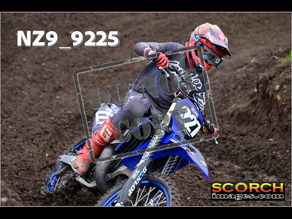 Experts-034