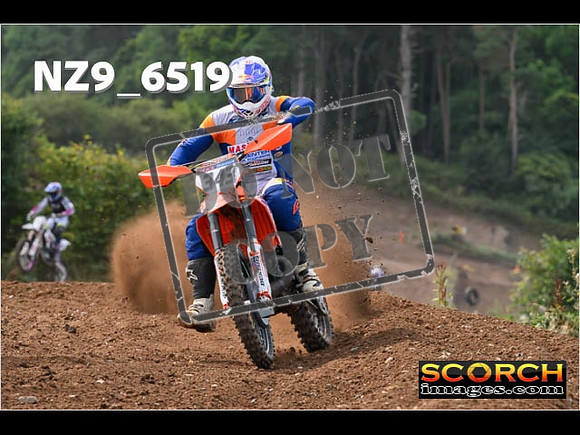 Experts-228