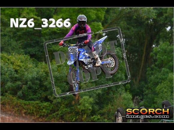 Experts-045