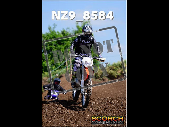 IntersGreenOrange-250