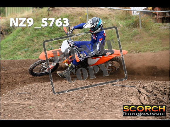 Experts-233