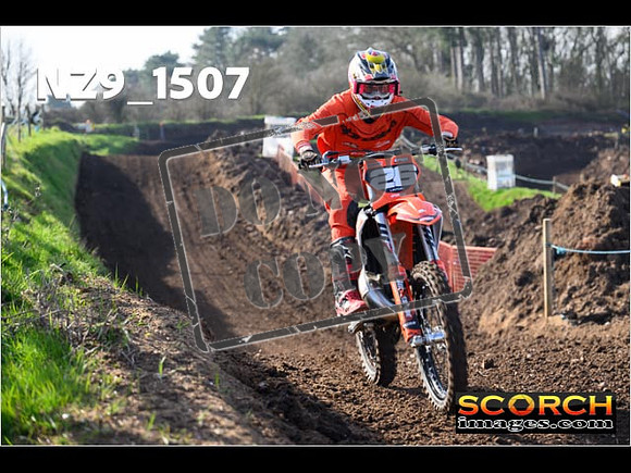 Experts-051