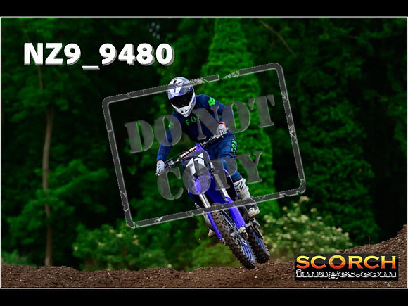 Experts-079