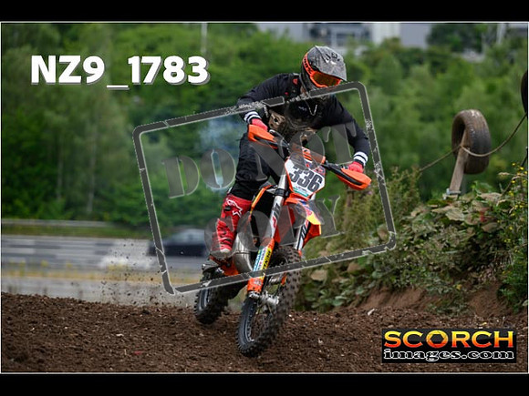 IntersGreenOrange-038