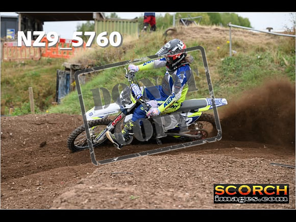 Experts-230