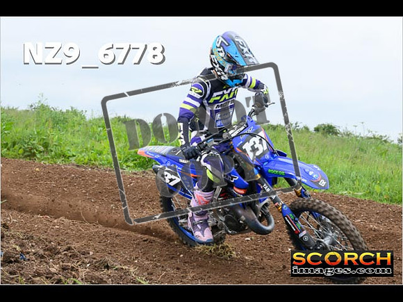 Experts-379