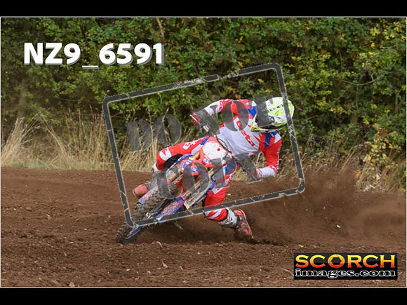 Experts-297