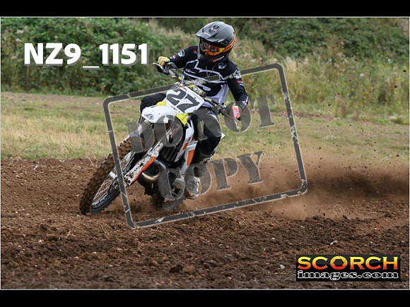Experts-096