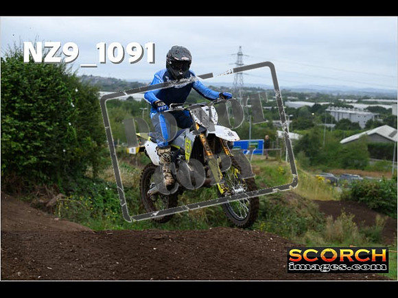 Experts-045