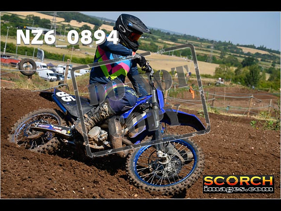 Experts-054
