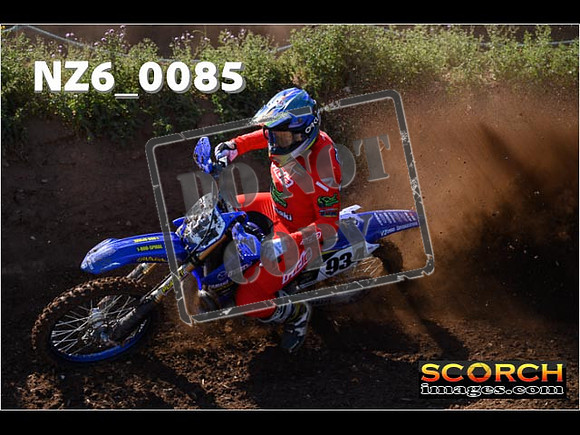 Experts-081
