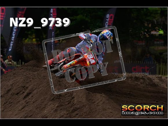 MX1-291