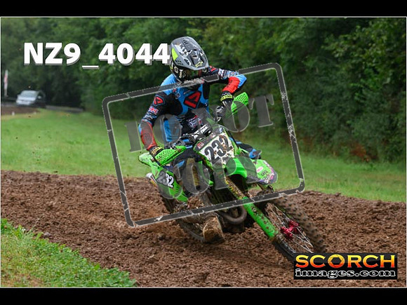 Experts-118