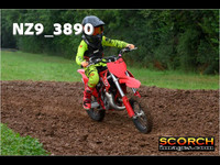 Auto65's-006