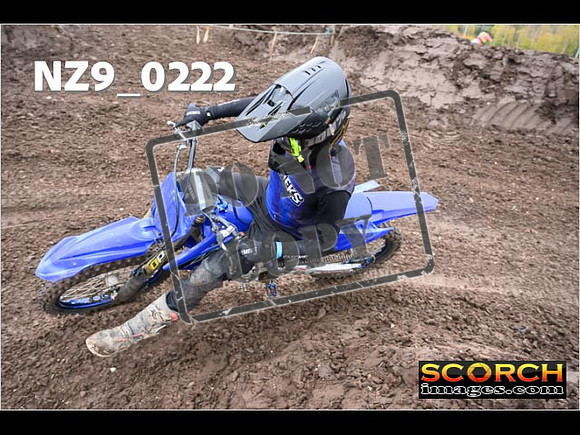 IntersBlue-310