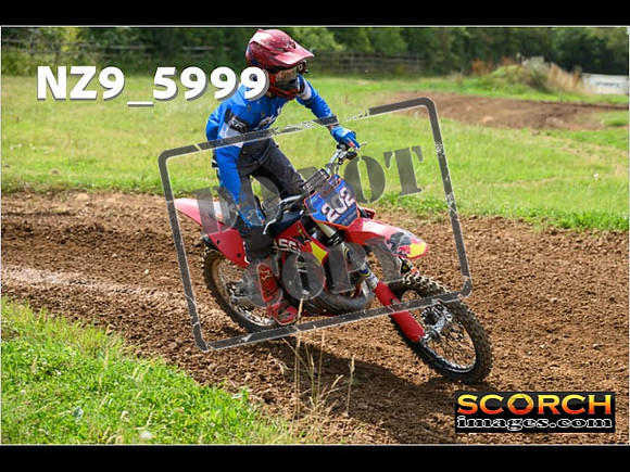 Experts-085
