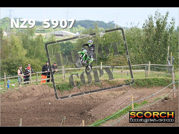 IntersGreen-095