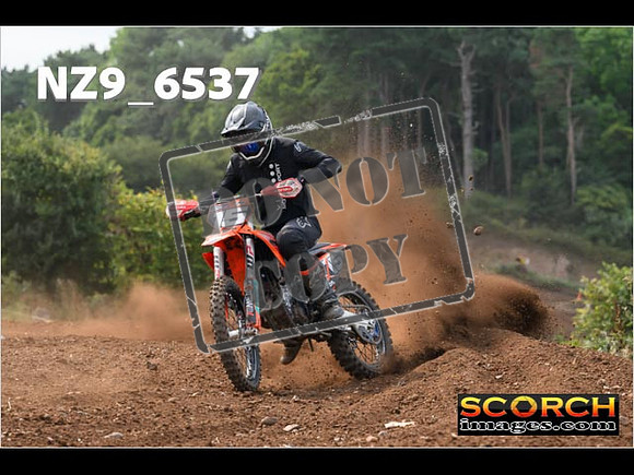 Experts-246