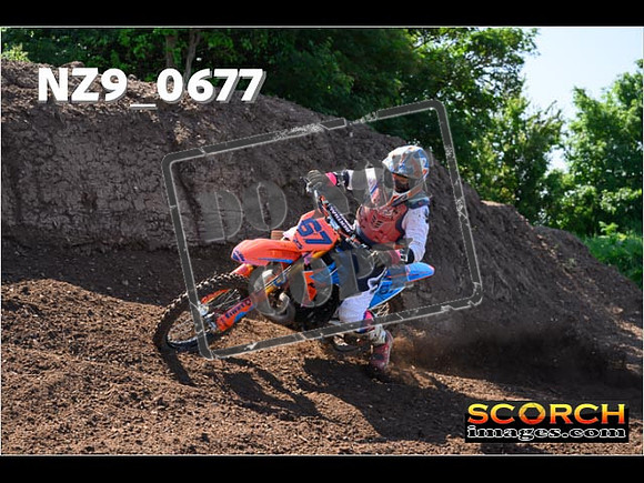 Experts-082