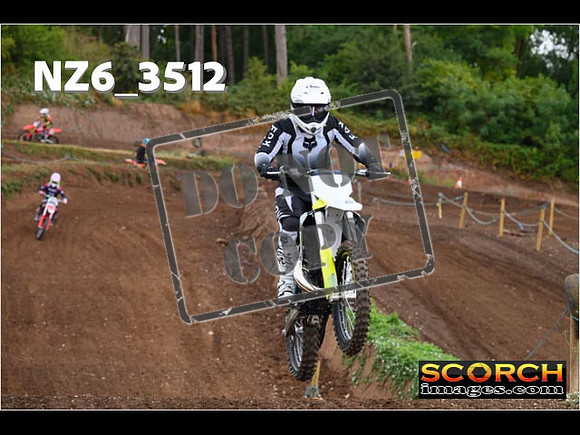 IntersGreen-032