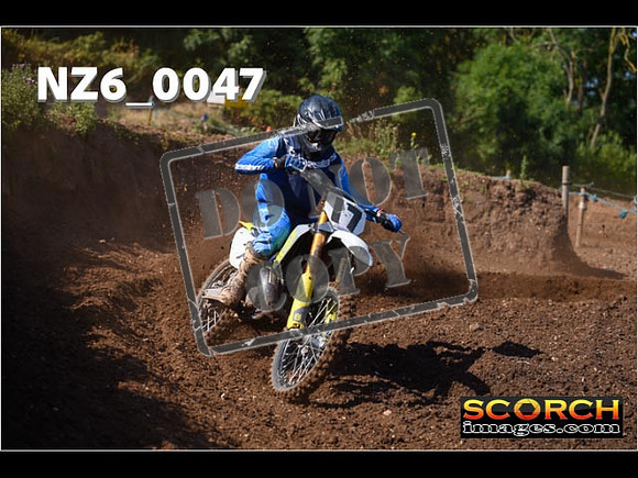 Experts-043