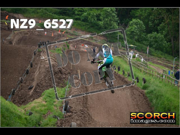 Experts-334