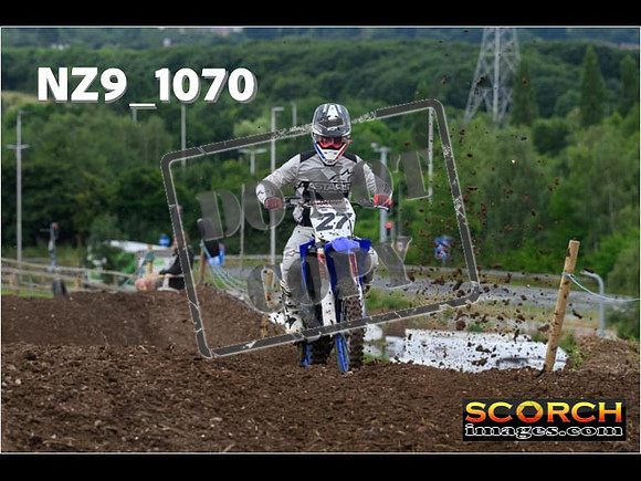 IntersGreen-085