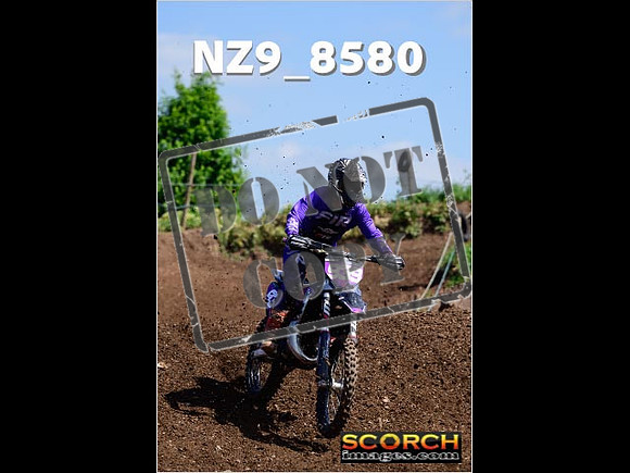 IntersGreenOrange-246