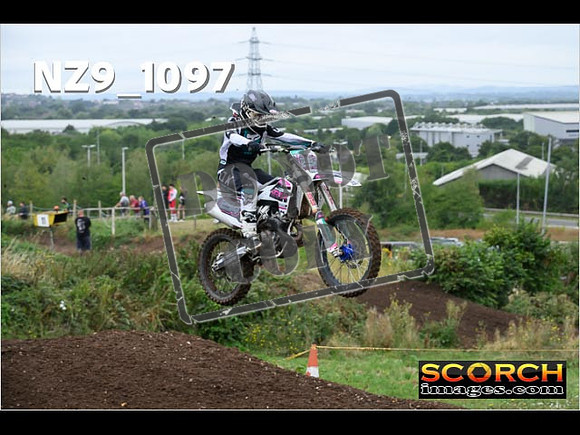 Experts-051
