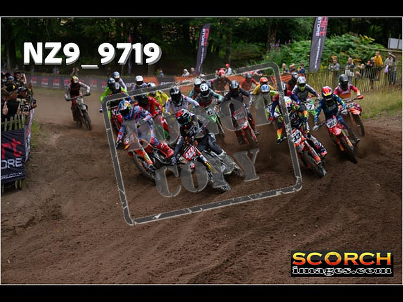 MX1-274