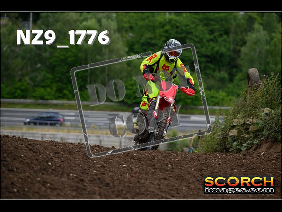 IntersGreenOrange-032