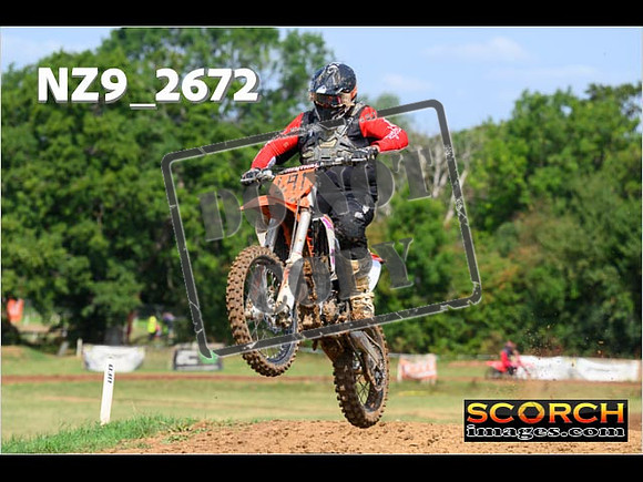 Novice-131