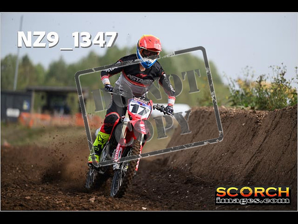 Experts-053