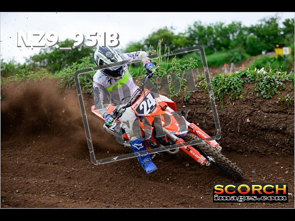 Experts-117