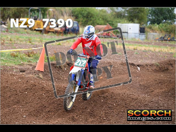 Red- Over 60-274