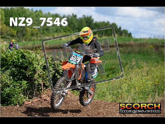 IntersGreenOrange-034