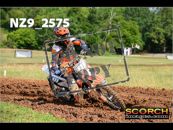 Experts-136