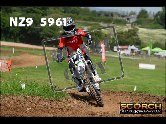 Experts-048